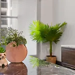 City Centre Apartment New Furnitures