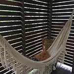 Private Room In Everton Hills
