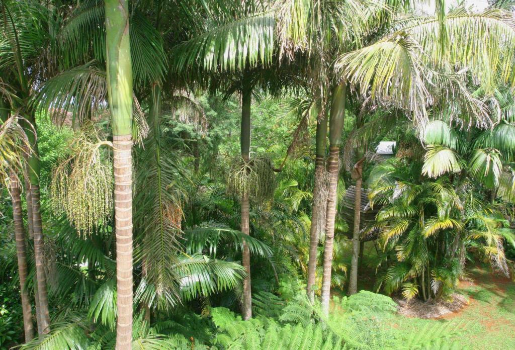 Mt Tamborine Bed & Breakfast Brisbane