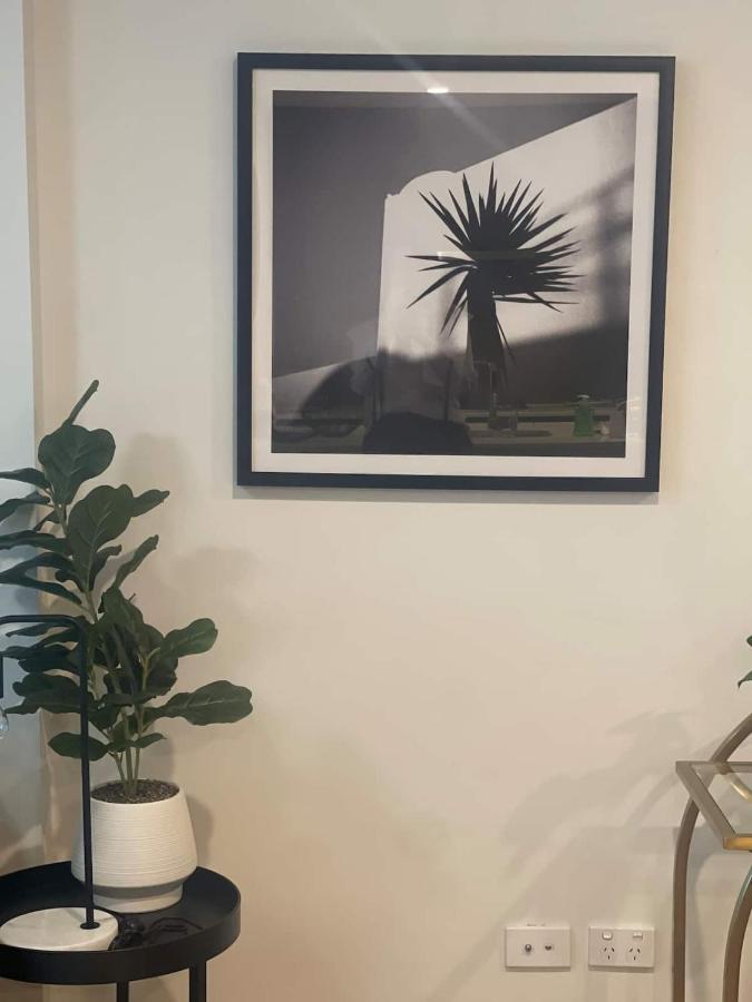 Cozy 3br Walking Distance To Goma Apartment *
