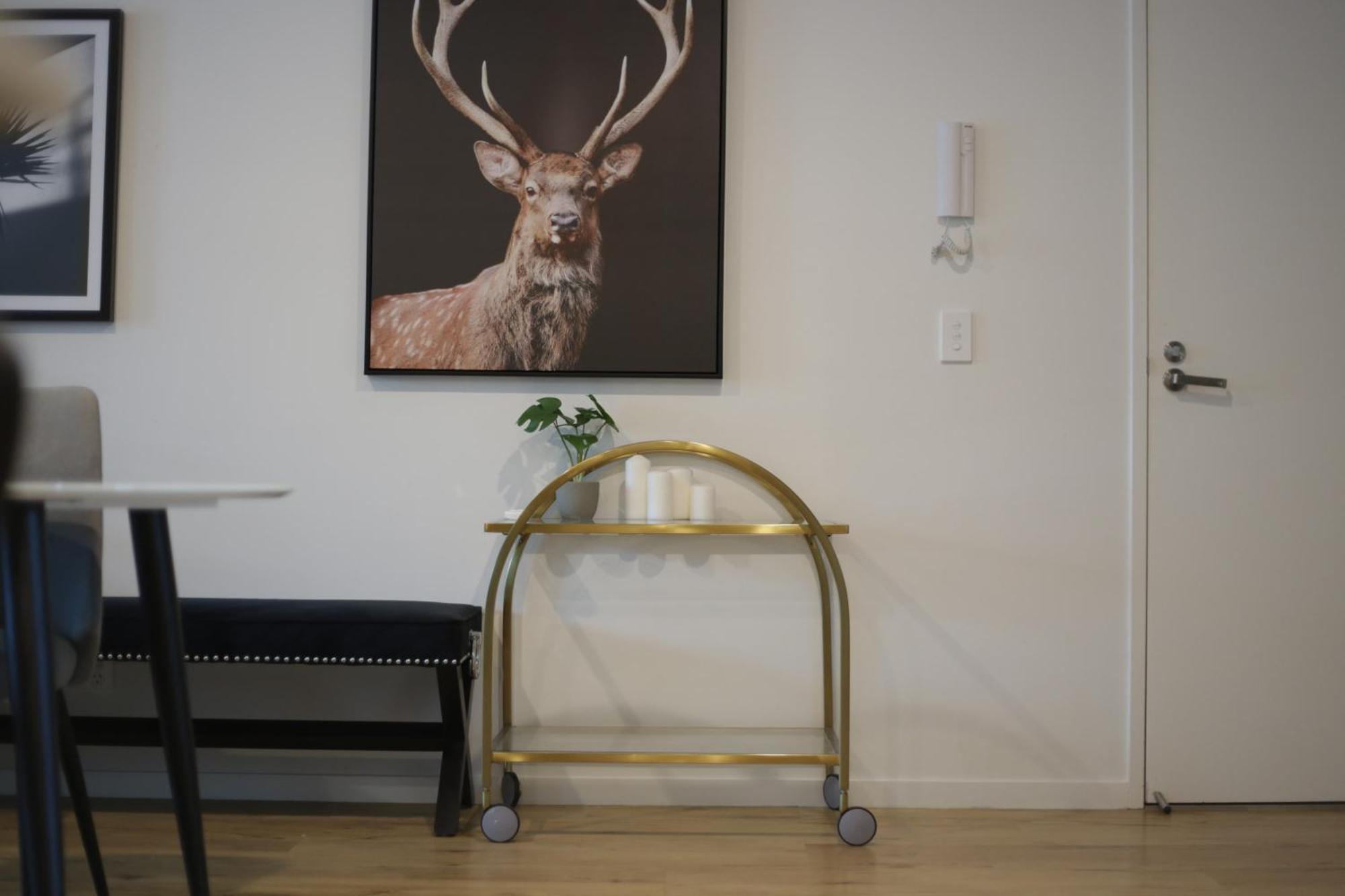 Cozy 3br Walking Distance To Goma Apartment *