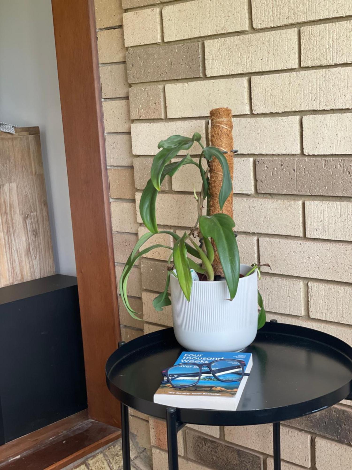 3br Comfy Home, Gym & Garden In The Gap * Brisbane