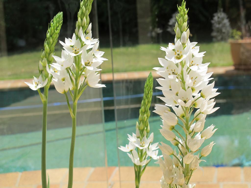 Bed & Breakfast Chapel Woods Brisbane