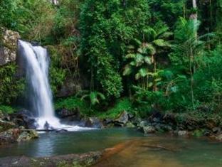 Mt Tamborine Bed & Breakfast Brisbane