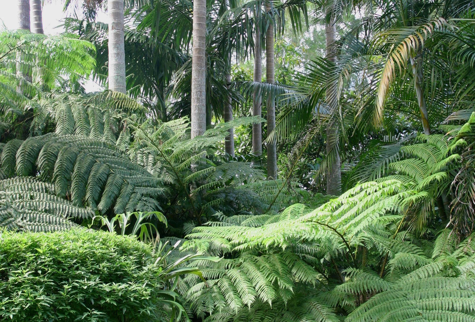 Mt Tamborine Bed & Breakfast 4*