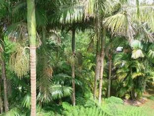 Mt Tamborine Brisbane