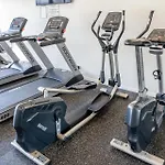Hanlon Park Escape 250M To Stones Corner Village