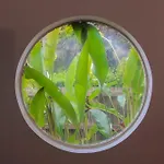 Leafy Retreat Townhouse Near Airport & City