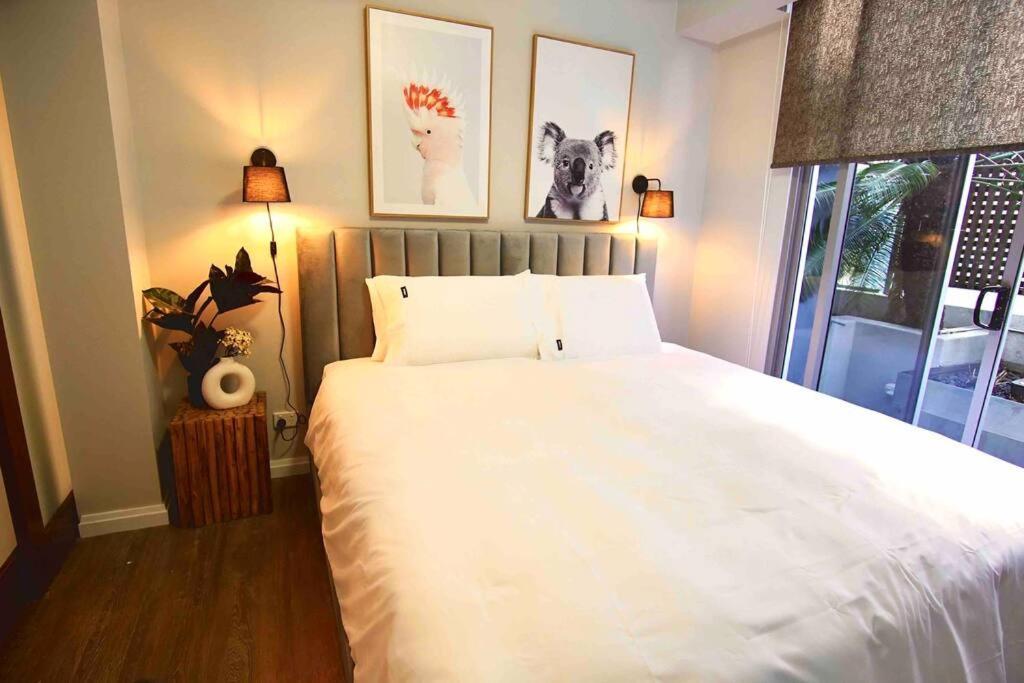 Pet Friendly St Johns 3 Bed 2 Bath 2 Carpark Cbd Brisbane