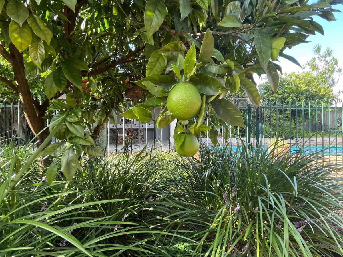 Designer's With Pool Brisbane