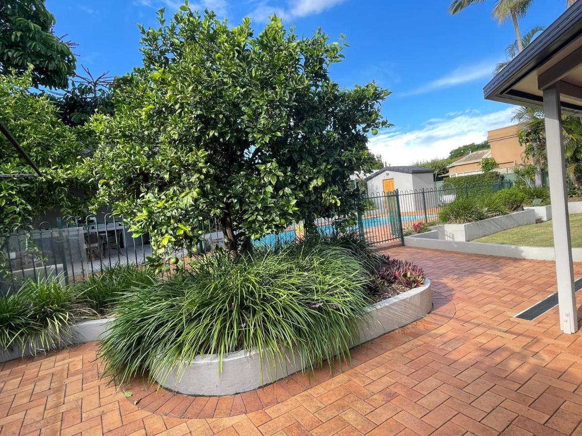 Designer's With Pool Brisbane