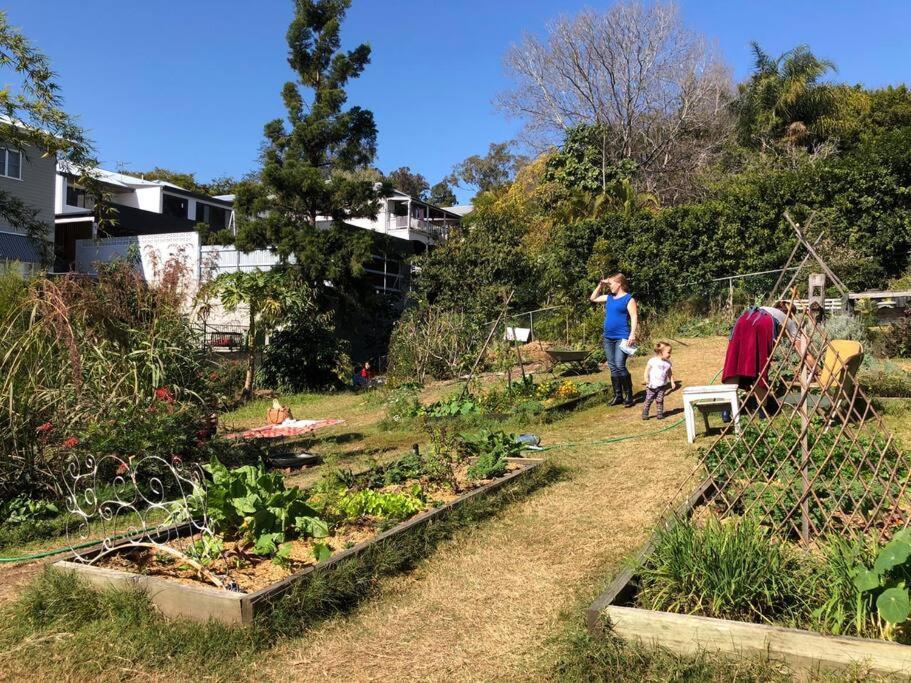 Pet Friendly Family 3km To Cbd * Brisbane