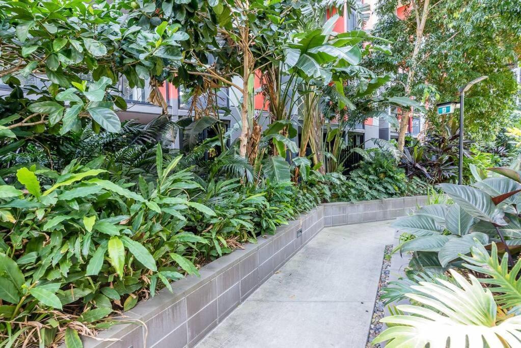 Vibrant Inner Living 1 Bedroom