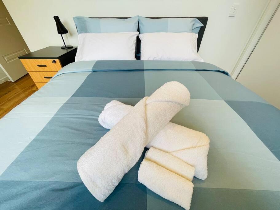 Modern 2 Bedrooms House Close To Qeii Hospital & Grifith Uni Brisbane