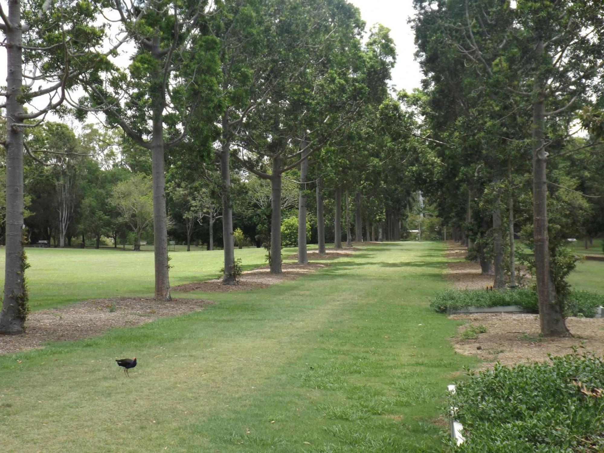 Spacious With Generous Entertaining * Brisbane
