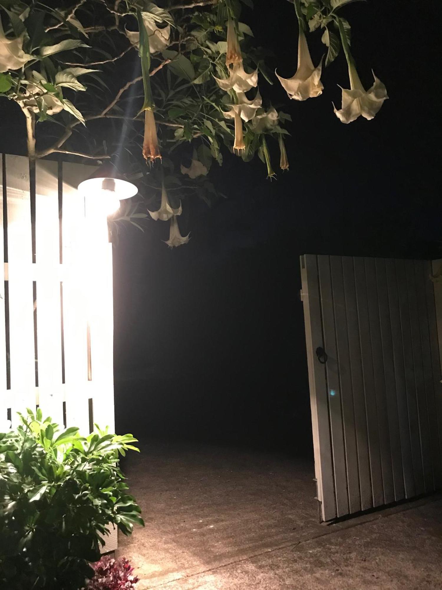 Jacaranda House Garden Apartment Brisbane