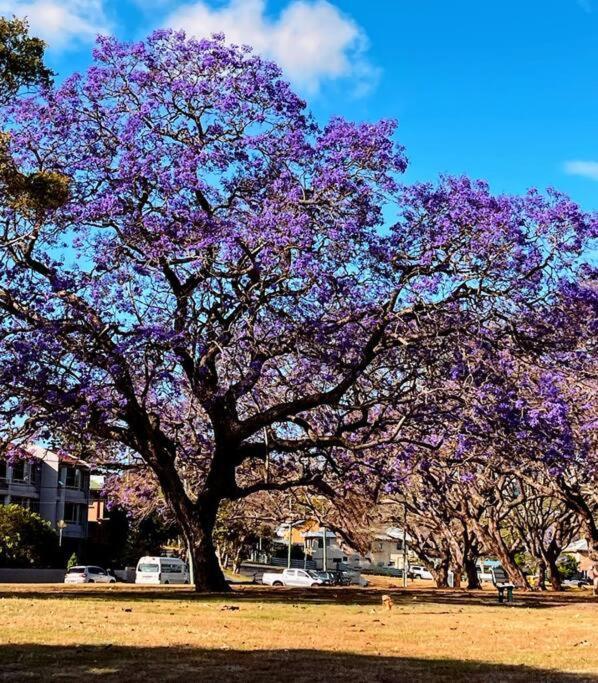 Artistic Queenslander With Park Views - Near City! Holiday home Brisbane