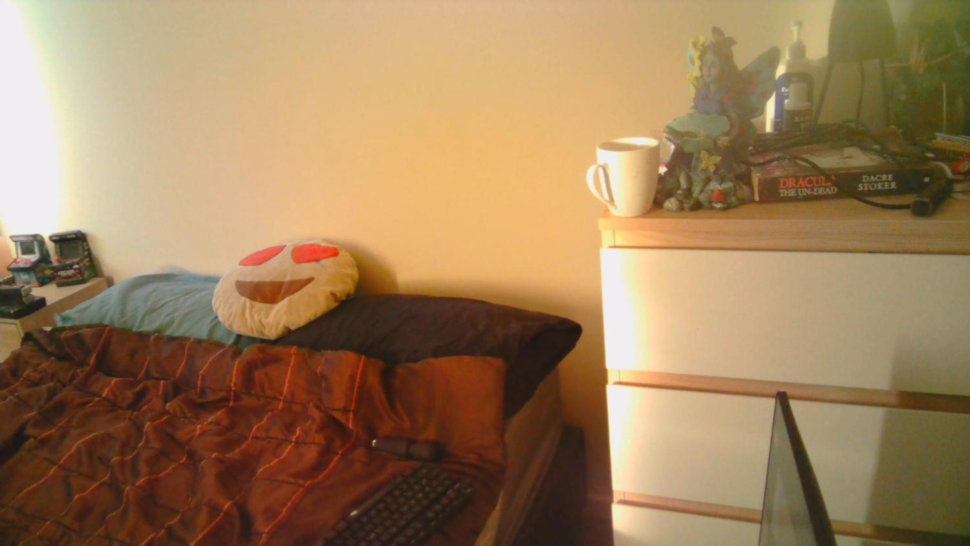 Apartment Grizzly Damo's Nft Gallery *