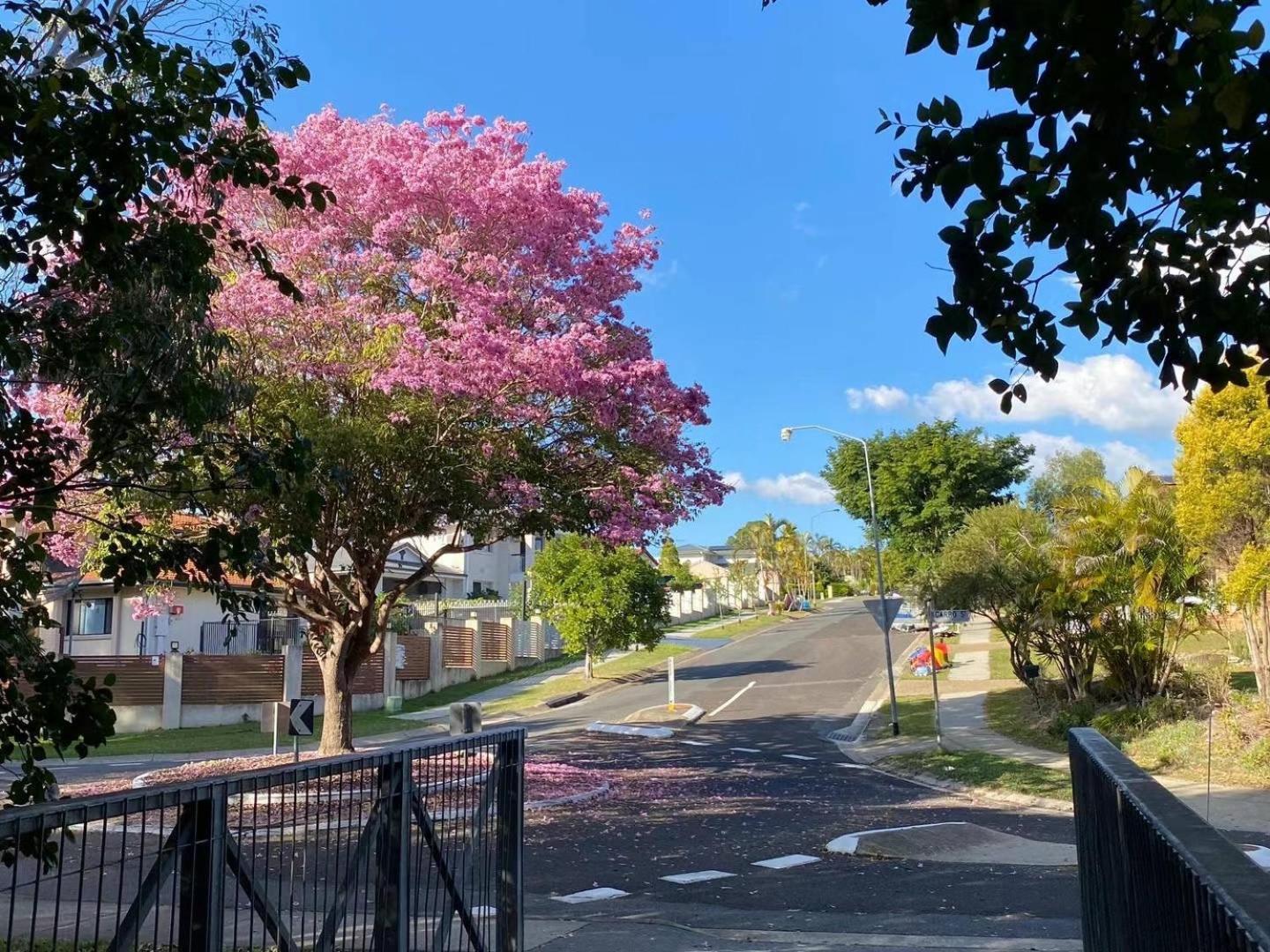Garden Retreat Sunnybank Hills Homestay *
