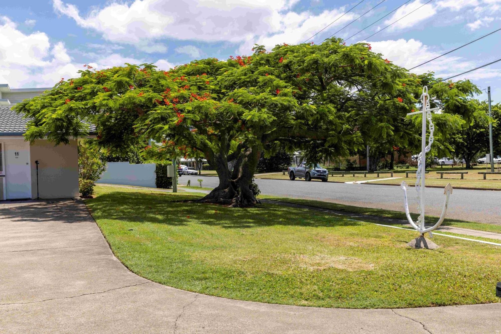 Wynnum Anchor