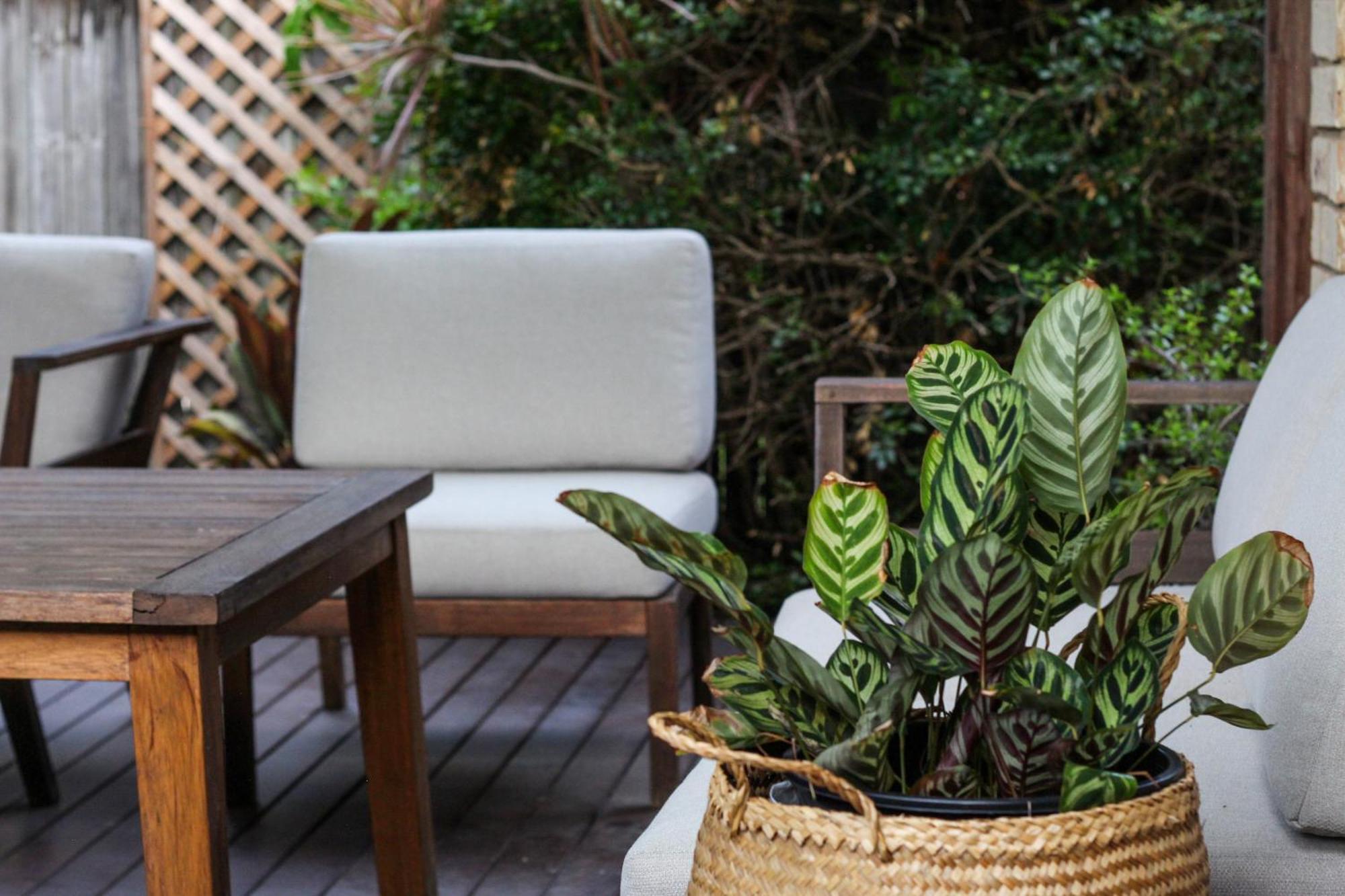 Apartamento Leafy Retreat Townhouse Near Airport &