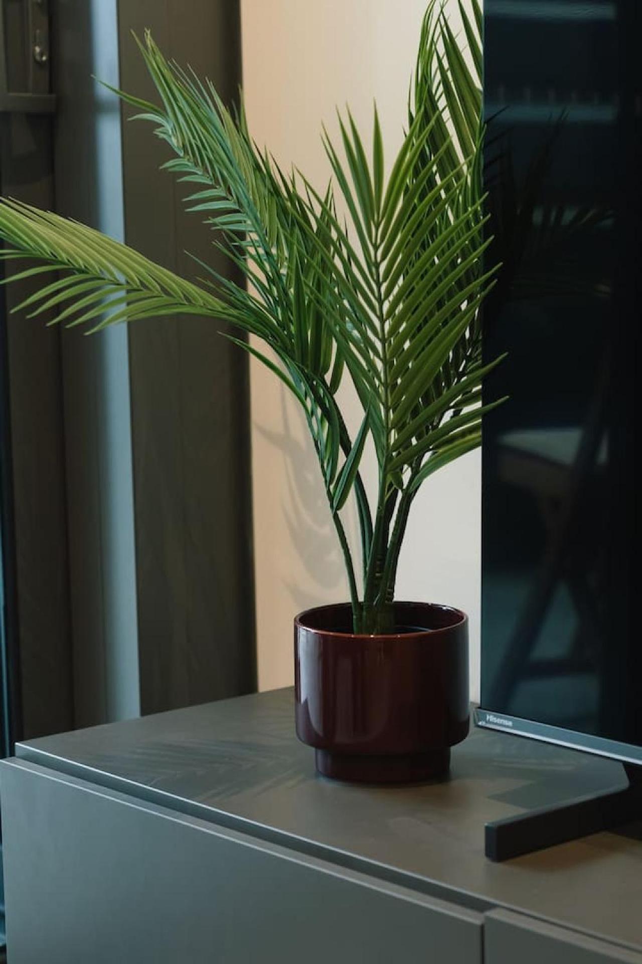 1b Queens Wharf Luxury Apartment *