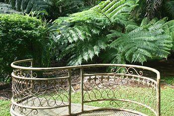 Mt Tamborine 4* Brisbane