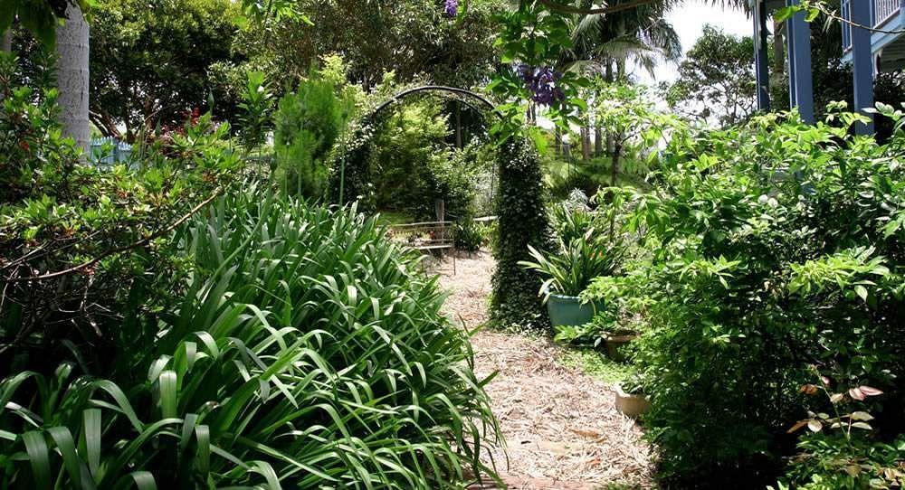 Acomodação com café da manhã  Mt Tamborine 4*