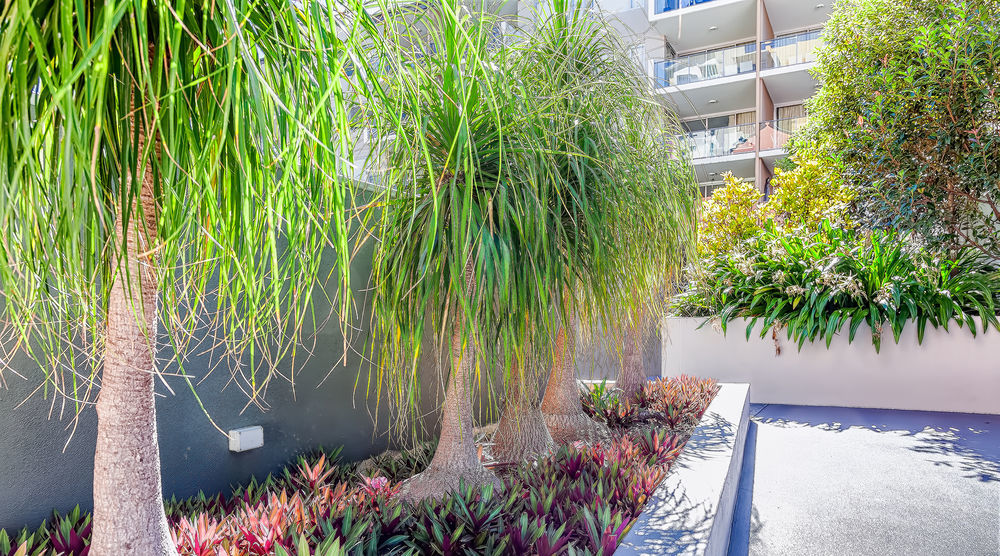 Trilogy Residences Aparthotel