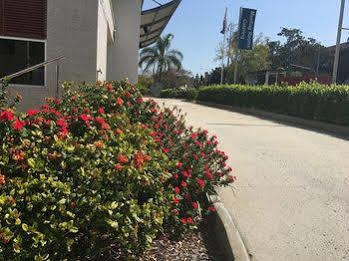 On Gregory Brisbane