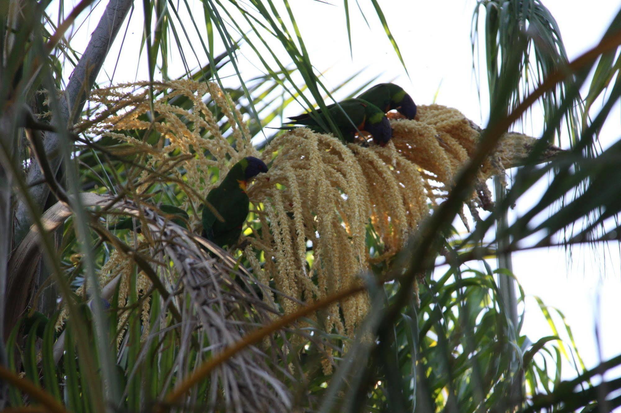 Paperbark Bed & Breakfast 4*