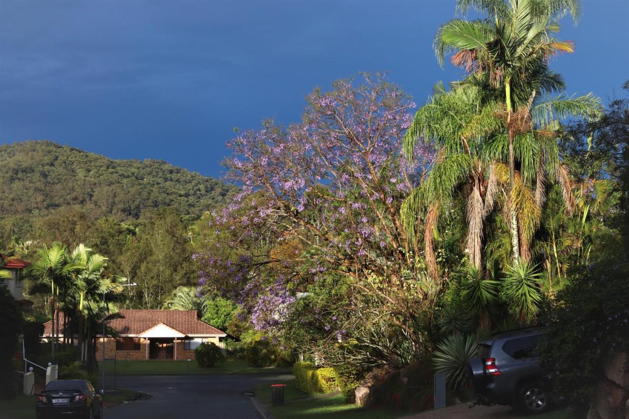 Bed & Breakfast Paperbark