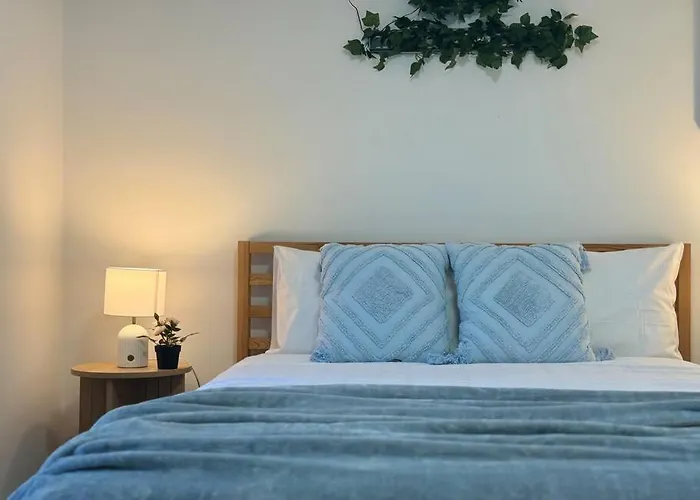 Central Contemporary 1Br Studio