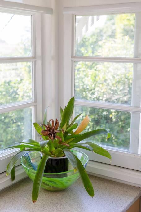 Quaint & Cosy 1 Bedroom In Queenslander. Apartamento *