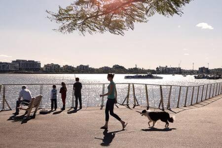 Pet-friendly Haven: Fast Wi-fi & Netflix Brisbane