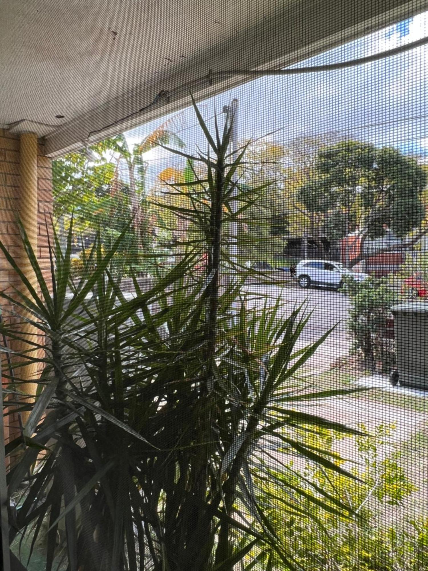 Adalong Student * Brisbane