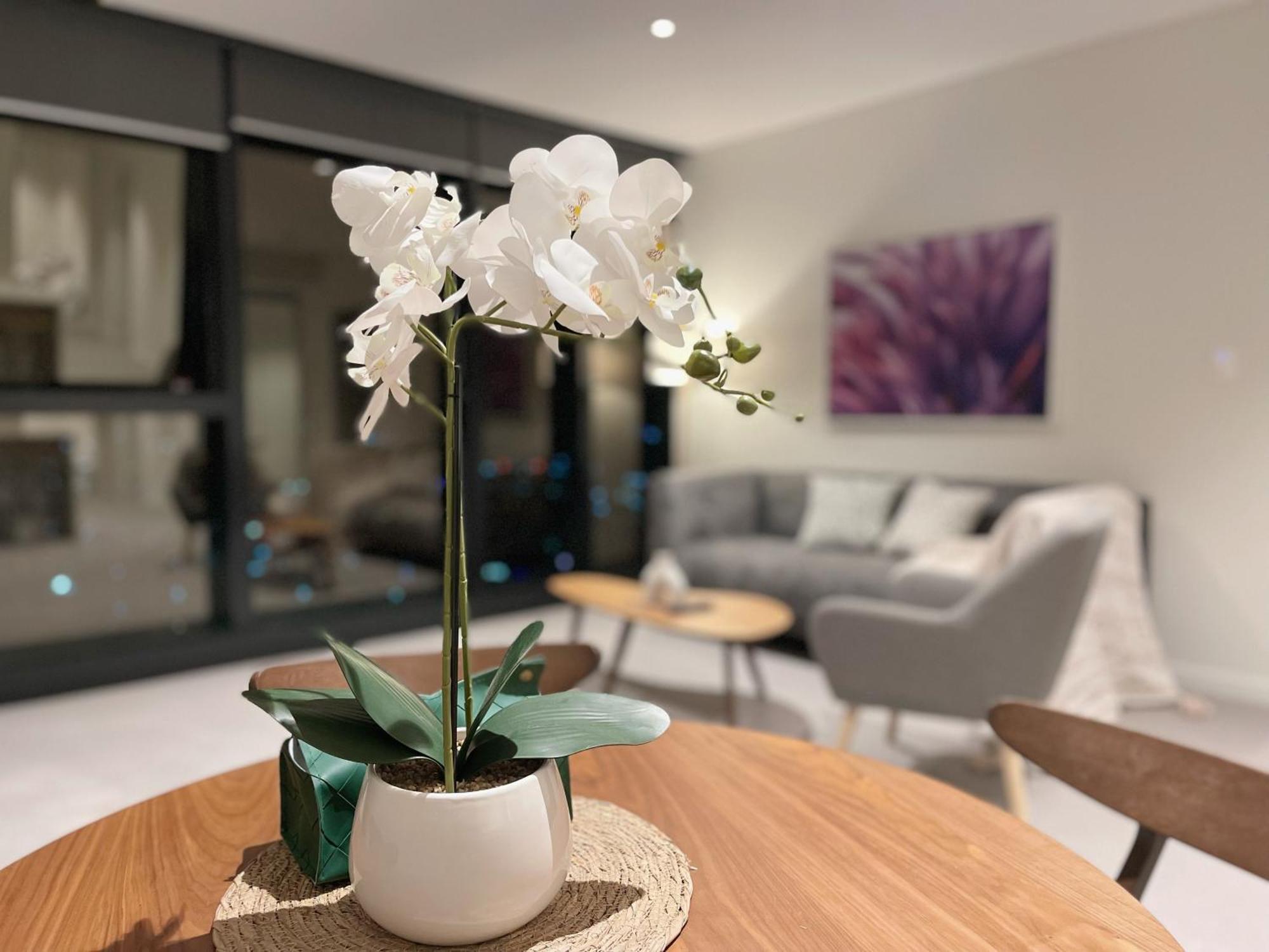 Apartment Skyline Heights 3beds Panoramic View Freeparking *