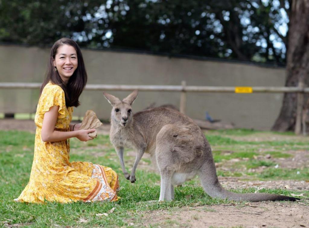 Explore Bne From Our Cute 1-bed In South