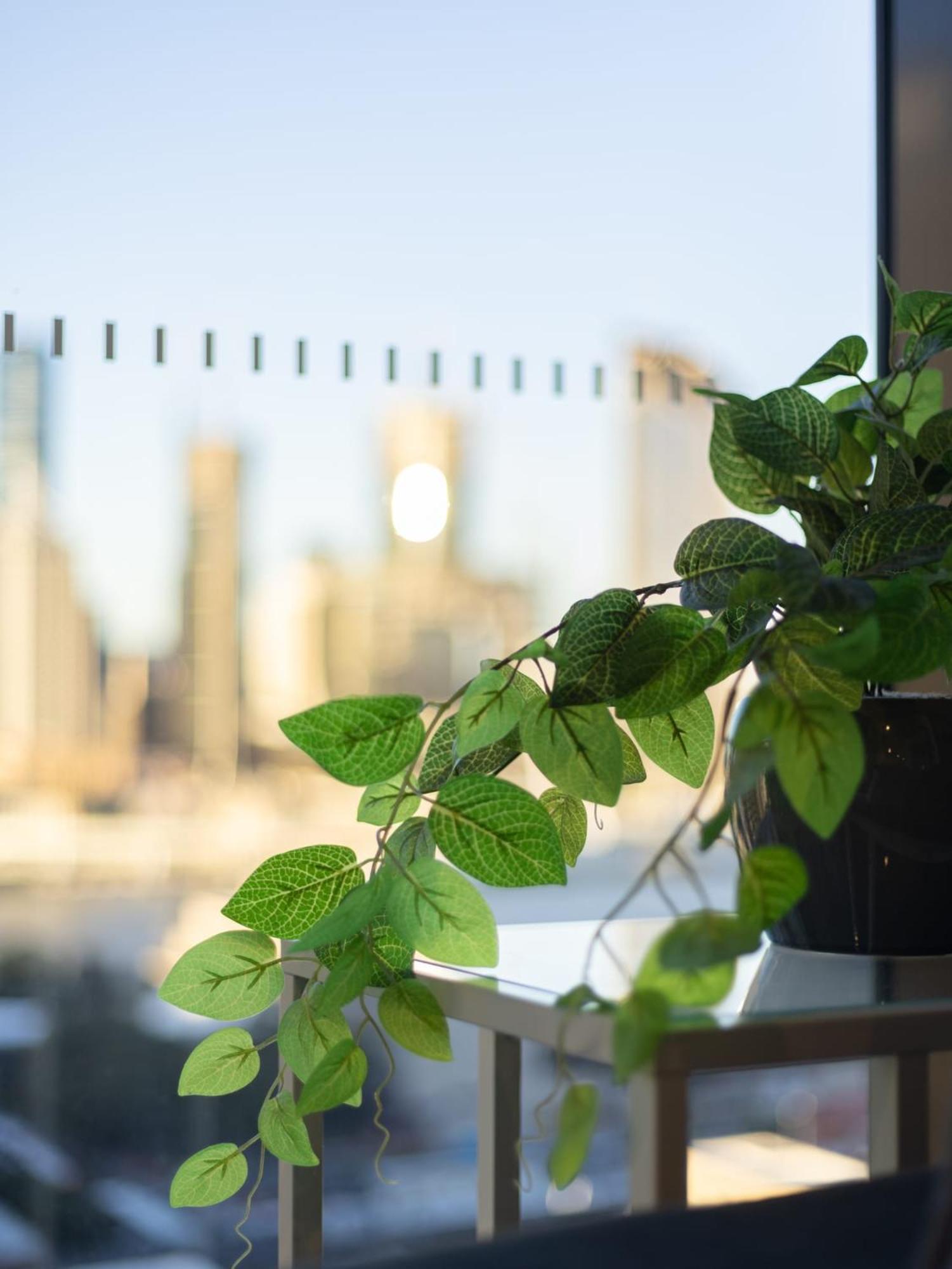 Explore Bne From Our Cute 1-bed In South *