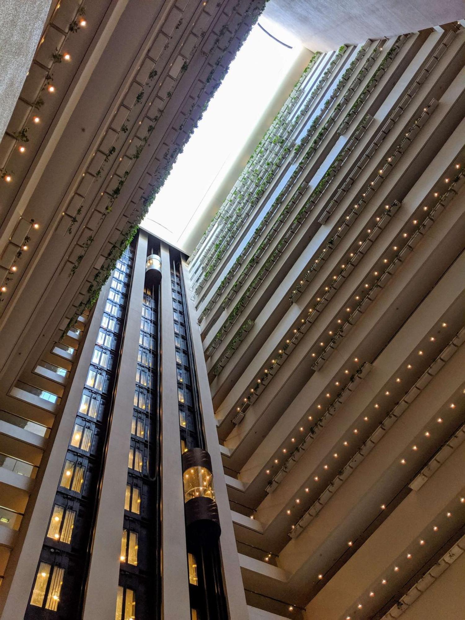 Hotel Hilton 5*