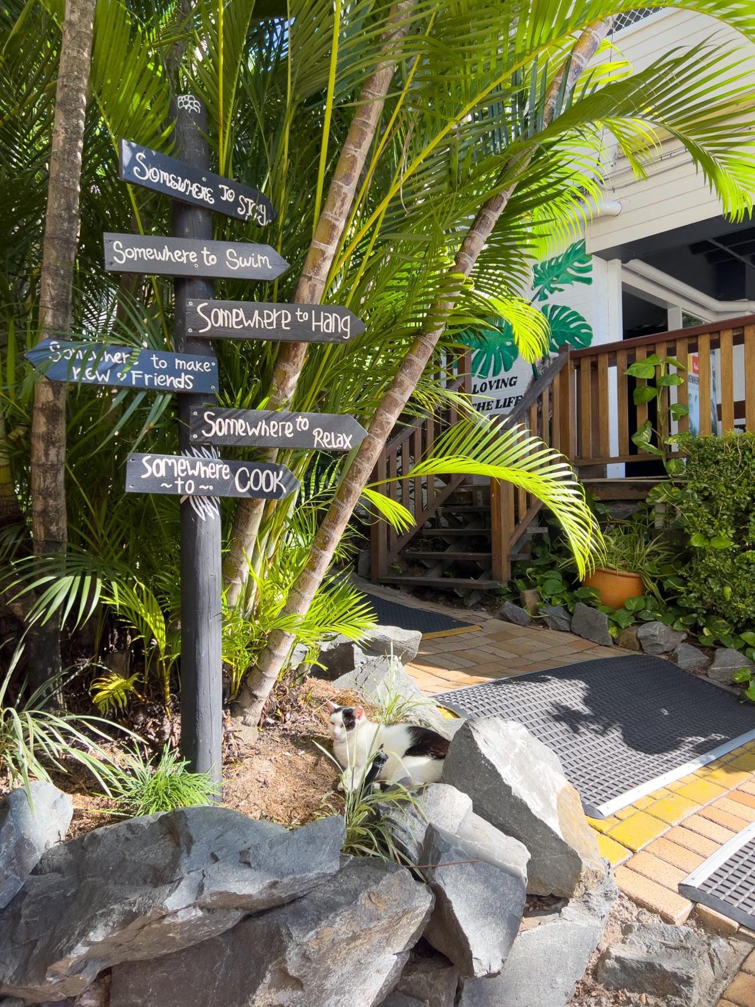 Somewhere To Backpackers Albergue Brisbane