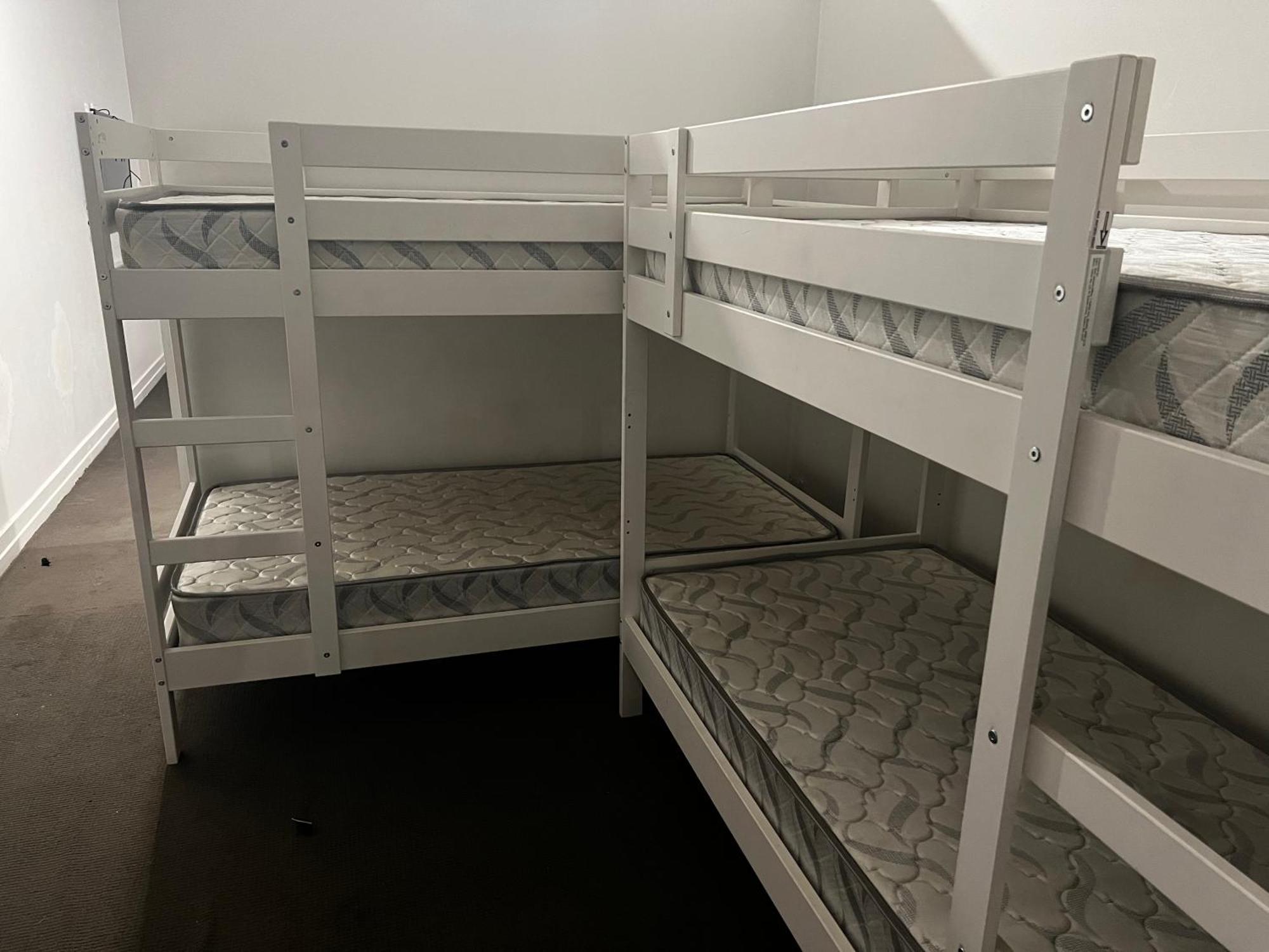 Hostel Palm Hamilton Backpacker
