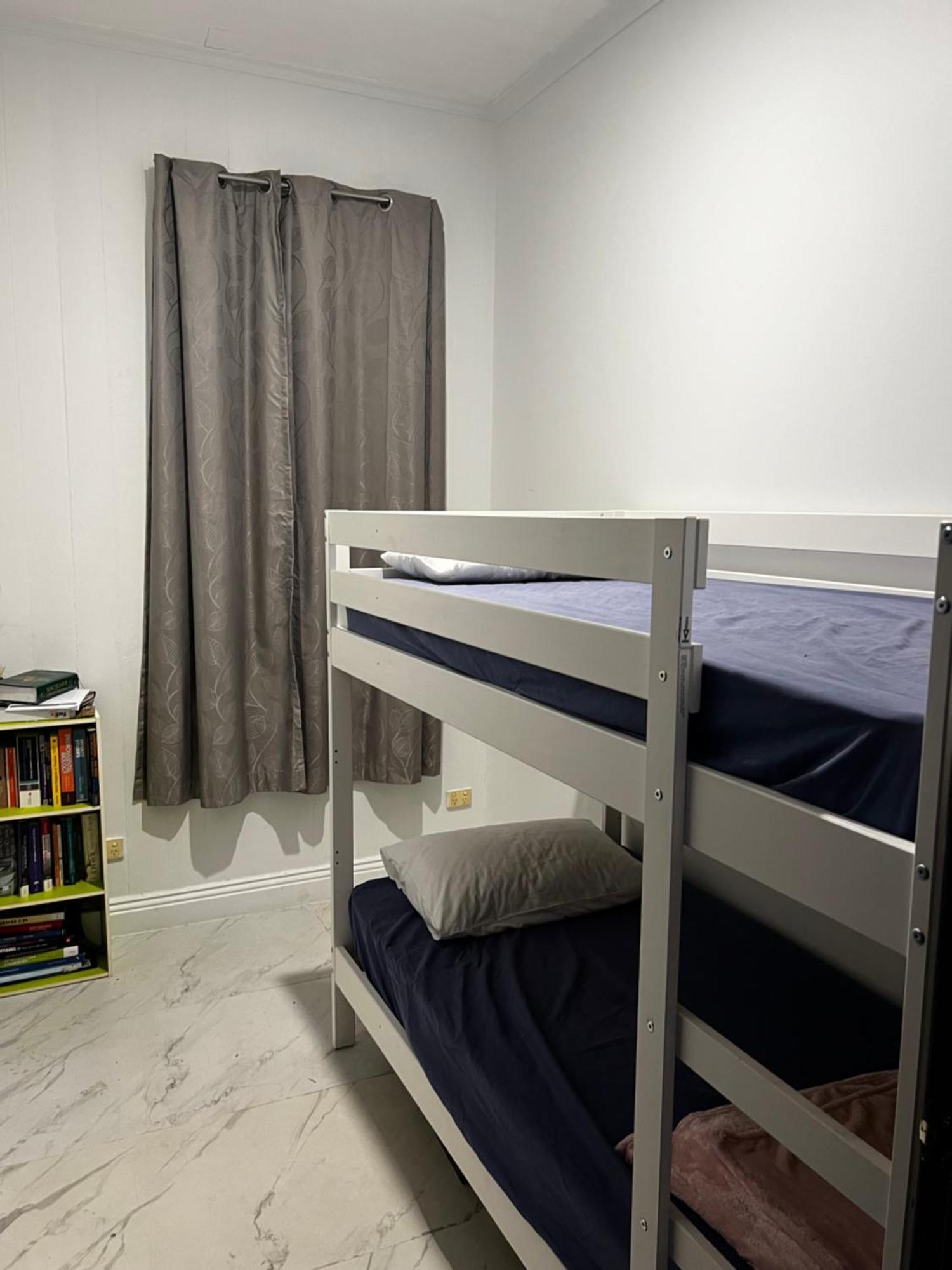 Hostel Palm Hamilton Backpacker Brisbane