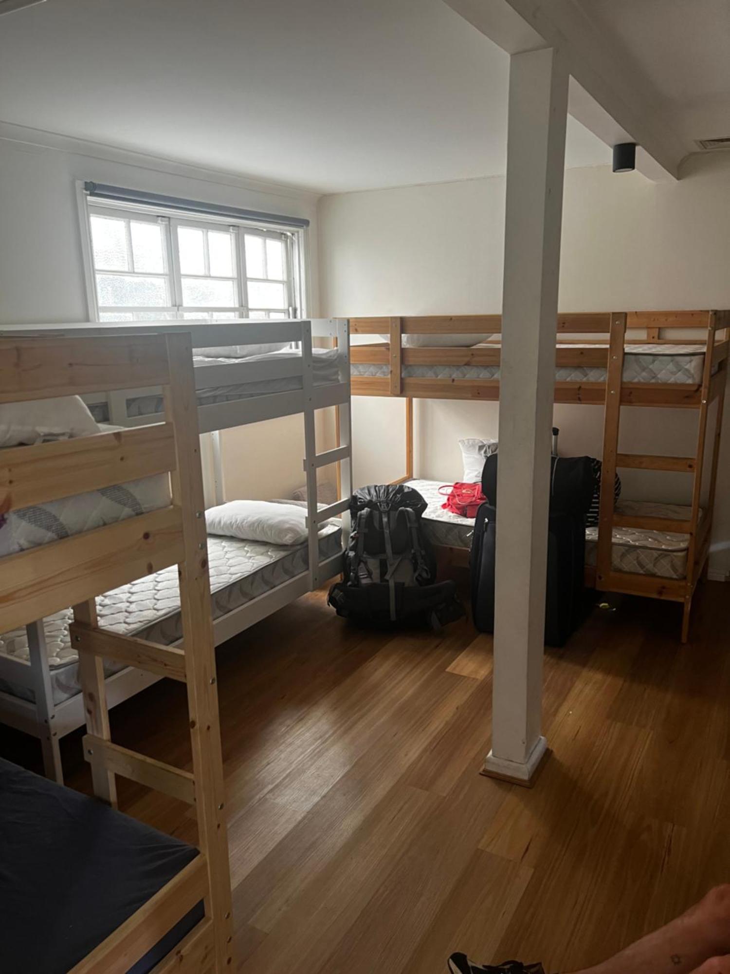 Hostel Palm Hamilton Backpacker *