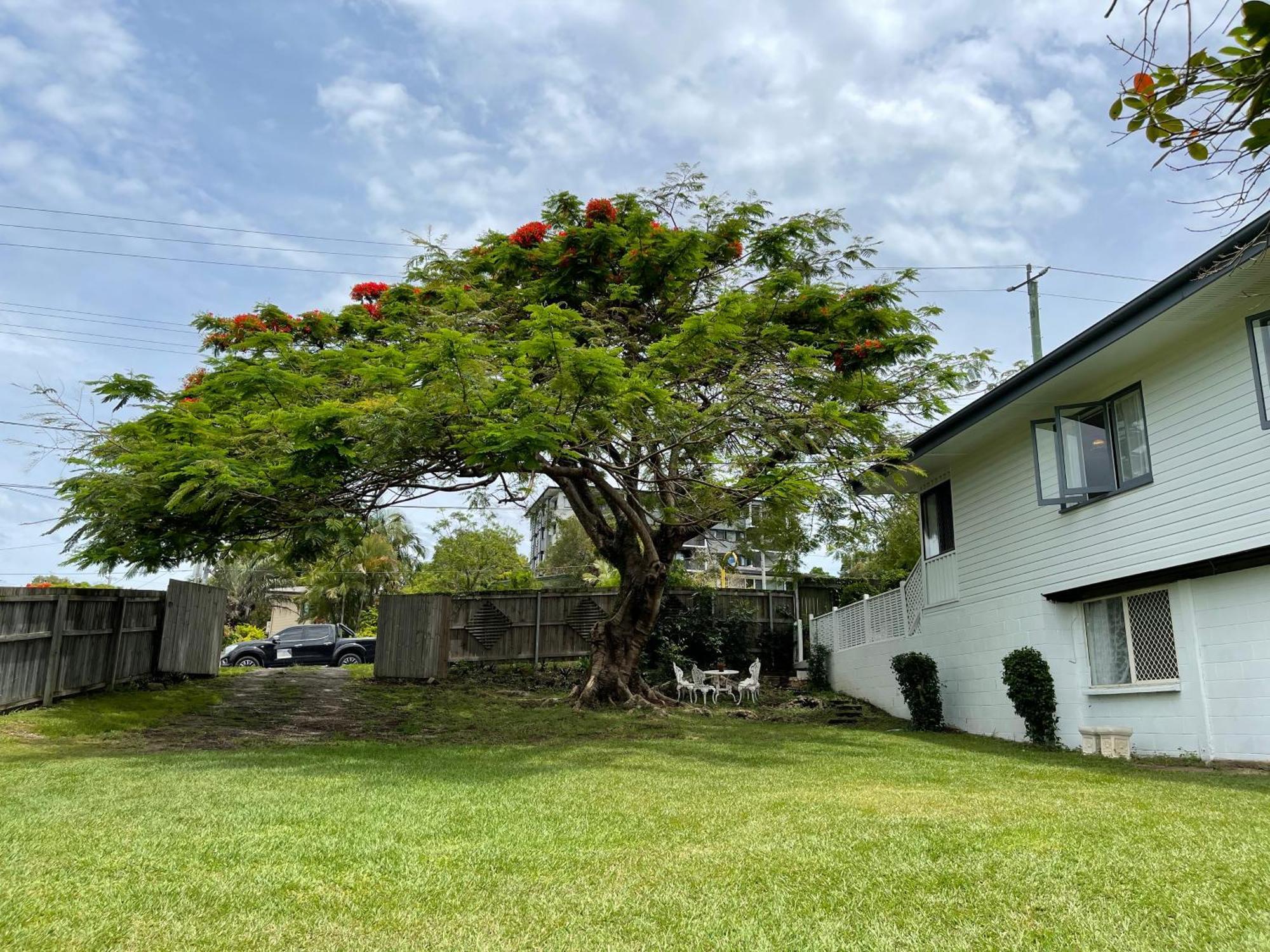 Bright House In Upper Mt Gravatt Holiday home *