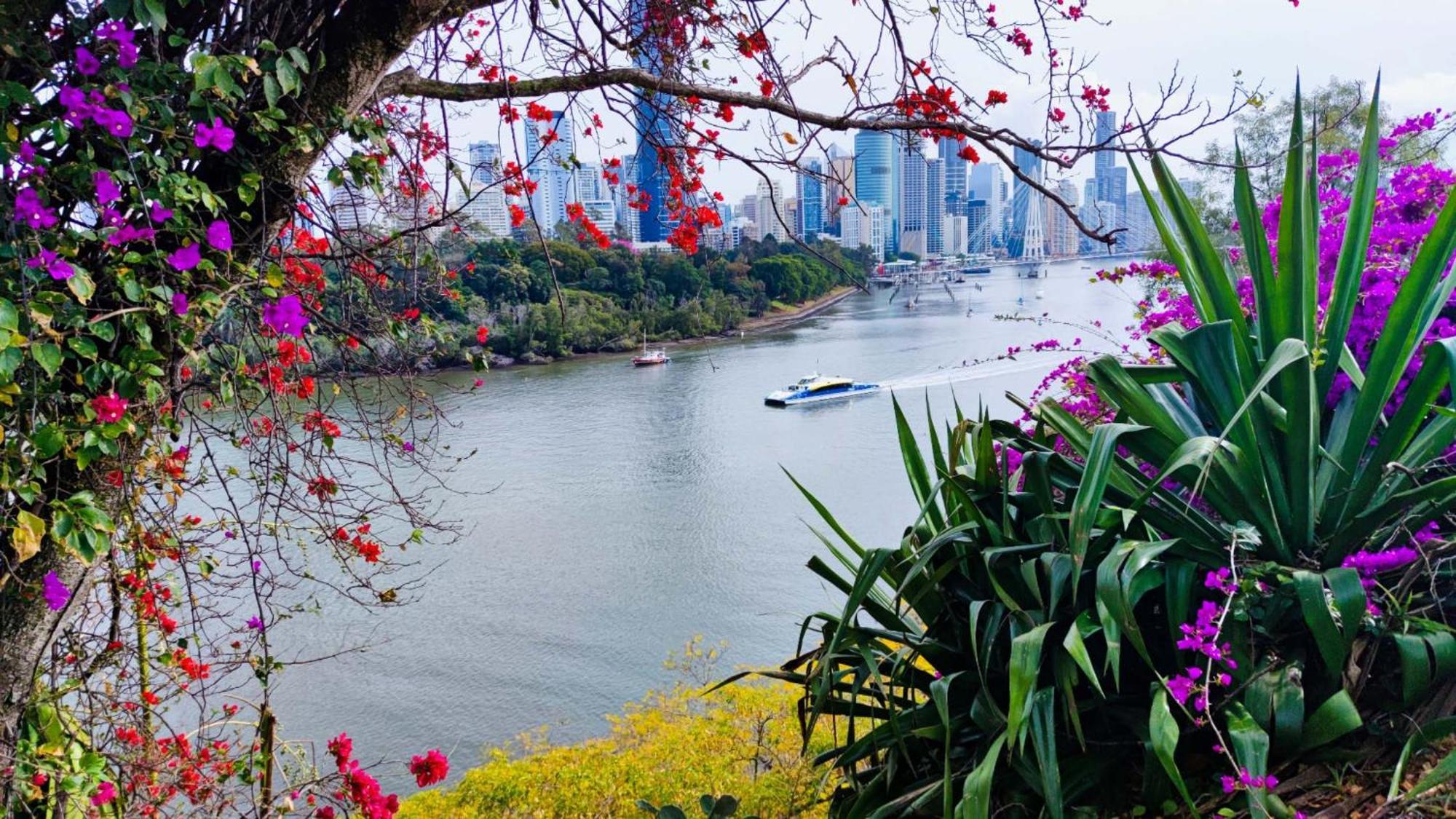 Hotel Cliffinn Kangaroo Point Brisbane