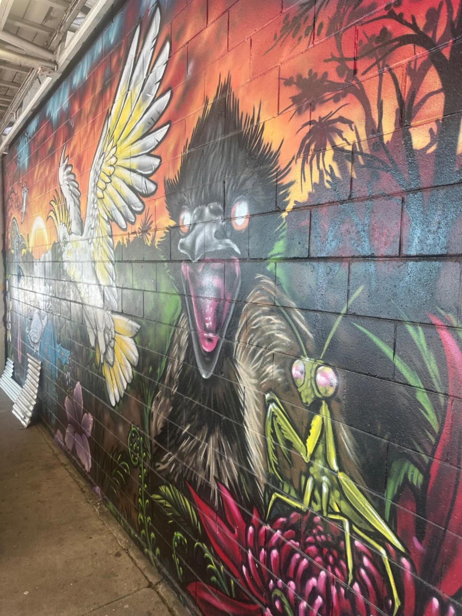 Habitat Backpackers Brisbane