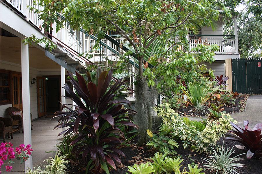 Albergue Ellie's Brisbane